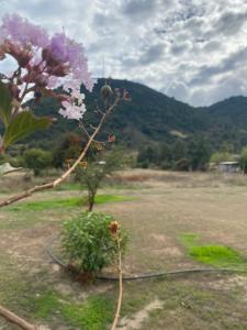 Refugio para 2