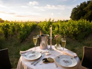 Mas L EPICURE- Charming Provence B&B, Apartment, Pool & Vines