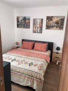 Apartman Silver Star Srebrno Jezero