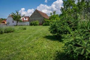 Curte la Munte - charming village house