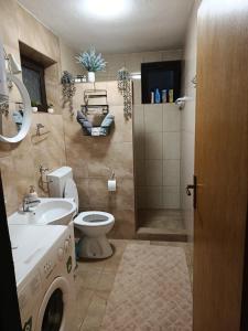Studio apartman EMA