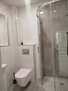 Apartamenty Ścinawa