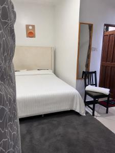Central Calm Apartment