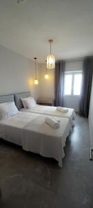 Stone Villa Vasiliki Private Pool & Sea View