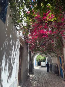 Dar kenza Tunis