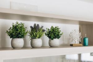 Athena Garden House