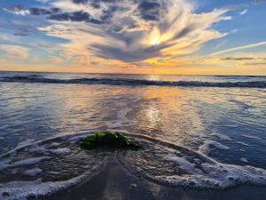5 star holiday home in Rømø