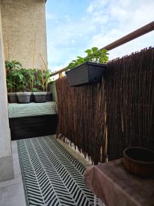 Green Studio by Metro
