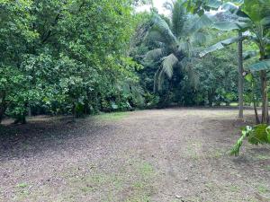 Casa Rural Los Bufalos - Farm Stay in Guacimo