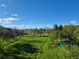 Stiklur Country Apartment