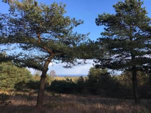 6 persons tranquil cottage in Knebel