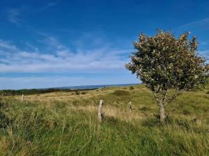 6 persons tranquil cottage in Knebel