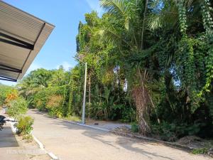 Bosque Ibena, Tu hogar lejos de casa en Inirida