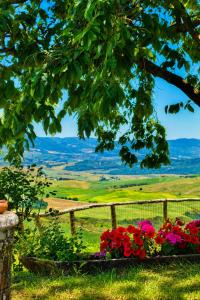 Il Cerchio delle Streghe Country House al Podere Casella