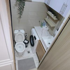 282 Cozy 1BR at Shore Residences Near MOA,NAIA T3,SMX,Star City