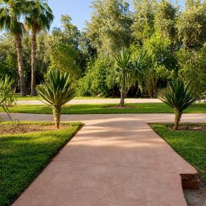 Authentic Marrakech 2 Bedroom Lovers Paradise