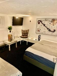 2 Zimmer Studio im Souterrain mit 46,7 qm