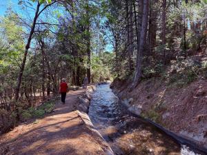 The Fork House - Luxury Creekside Sierra Retreat