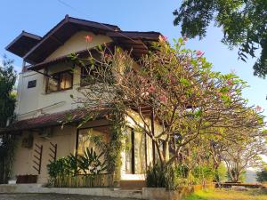 Maluk House