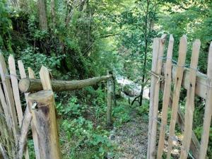 Bats Cave Hut Transylvania - Rustic Retreat
