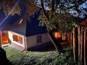 Bats Cave Hut Transylvania - Rustic Retreat