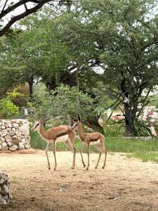 Karibu Self-Catering unit 2