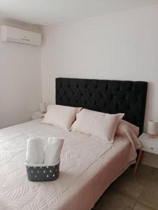Casa Céntrica, Amplia y Cómoda con Estacionamiento en San Carlos, Ñuble