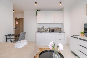 Gliwice Royal Studio A77 by BookingHost