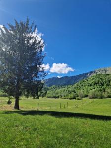 BONIS - Nidi nel Bosco