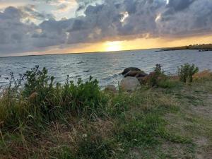 4 star holiday home in Hemmet