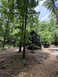 Luxury Creekside Treehouse Escape with Fire Pit in Brevard, NC