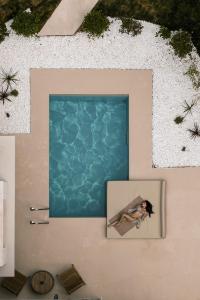 Domus Gaia Suites