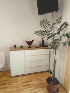 Aurora apartman