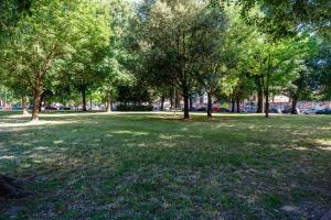 Appartamento Olga a Lucca