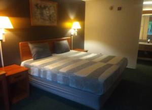 King Bed Hotel Room 120