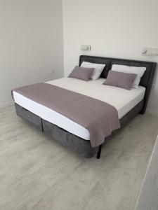 Apartmani Salus