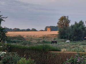 140m2 de Bonheur a la campagne