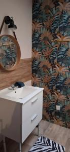 Studios Saint dye sur Loire