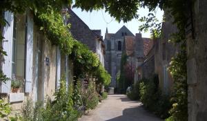 Studios Saint dye sur Loire