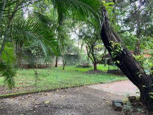 Kalliyattu homestay