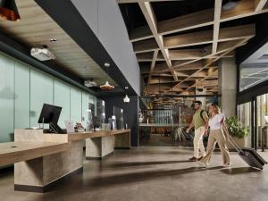 Ibis Torreon