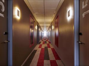 Ibis Torreon