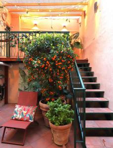 Colosseo Garden Lodge