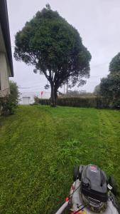 Serene BB Retreat in Oliveirinha, Aveiro with Garden Views