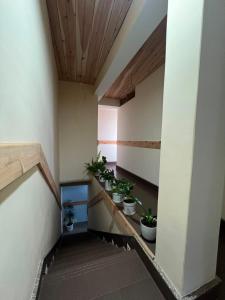 Home away homestay