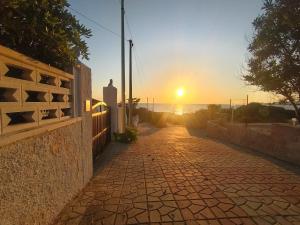 Blue Panorama img30