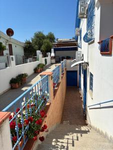 Casa Carta img24