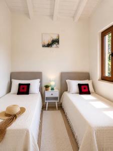 Villa Smeraldo Relax and Comfort 3 Min Walk to the Beach