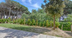 Luxury Central Apartments, Illa Blanca, Calella