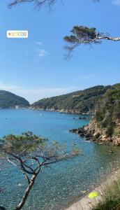 ELEGANTISSIMO APPARTAMENTO DIRETTAMENTE SUL MARE SPIAGGIA LE GHIAIE 6 posti letto